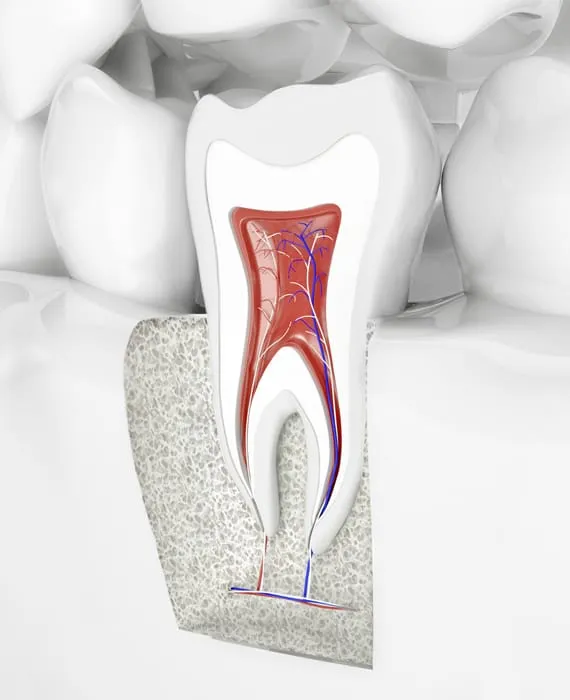 Endodontie Melchior & Hilbert Zahnärzte Remscheid